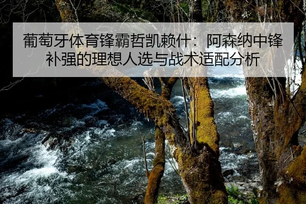 葡萄牙体育锋霸哲凯赖什：阿森纳中锋补强的理想人选与战术适配分析