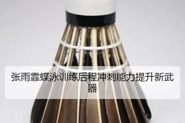 张雨霏蝶泳训练后程冲刺能力提升新武器