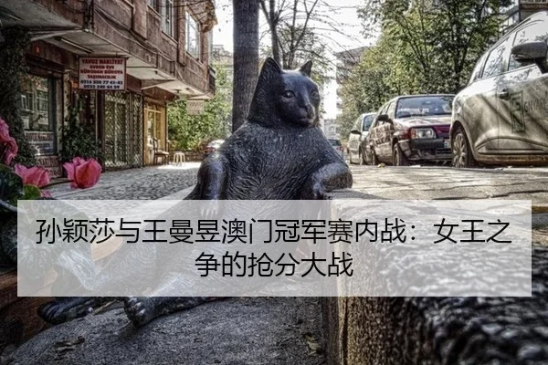 sun-ying-sha-yu-wang-man-yu-ao-men-guan-jun-sai-nei-zhan-nv-wang-zhi-zheng-de-qiang-fen-da-zhan-3-713.jpg
